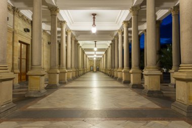 Karlovy Vary mineral springs