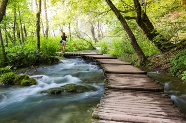 Plitvice Gölleri Ulusal Parkı 