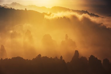 Zhangjiajie dağlarında avatar