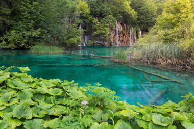 Plitvice Gölleri Ulusal Parkı
