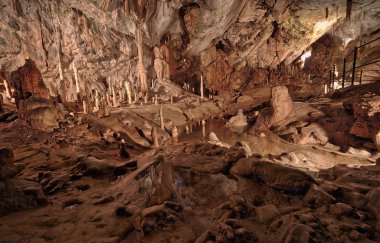 Postojna grotte Slovenya