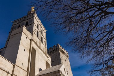 Papes Sarayı, Avignon