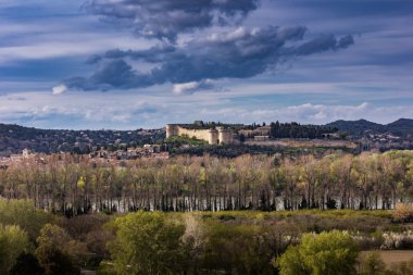 View of Avignon in France clipart