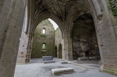 Antik İrlandalı kale