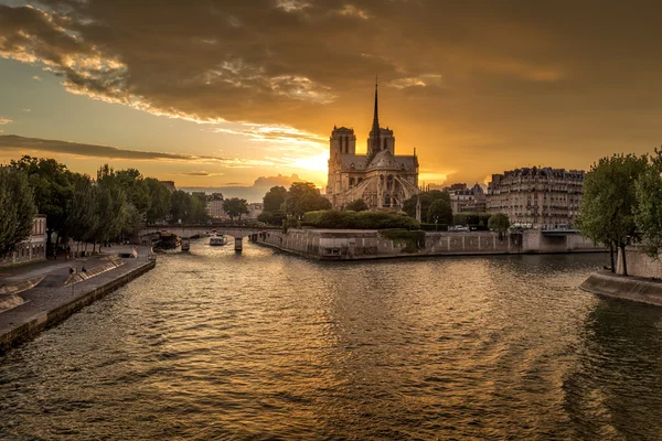 Katedra Notre Dame de Paris, Francja — Zdjęcie stockowe