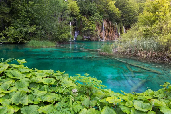 Národní park Plitvická jezera — Stock fotografie