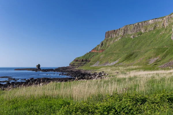 Pohled na Giant's Causeway — Stock fotografie