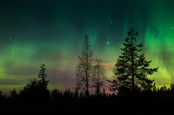 Green aurora borealis — Stock Photo, Image