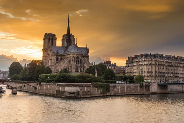 Katedra Notre Dame de Paris, Francja — Zdjęcie stockowe