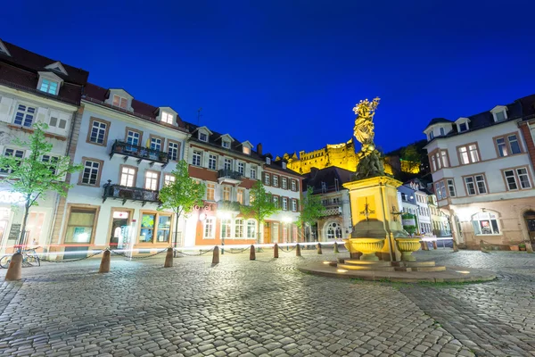 Vista de la ciudad de Heidelberg — Foto de Stock