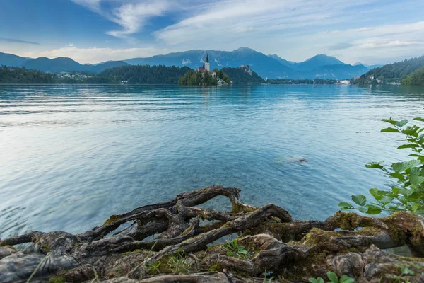 Église sur le lac Bled — Photo