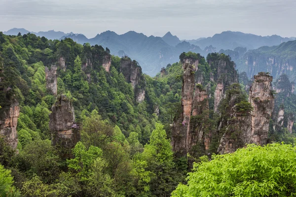 Montagne avatar di Zhangjiajie — Foto Stock