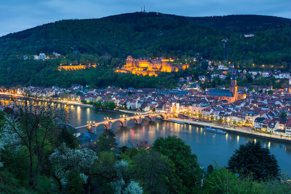 View of Heidelberg city