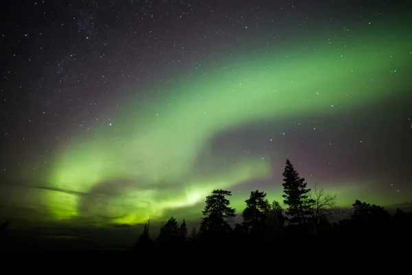绿色的北极光 — 图库照片