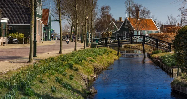 Traditionella holländska hus i zaanse schans — Stockfoto