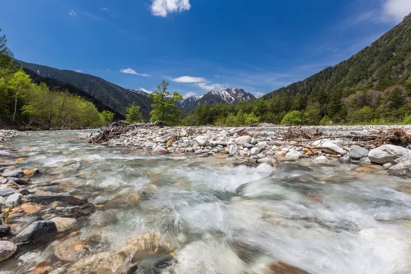 Landscape with mountain river — Stock Photo, Image