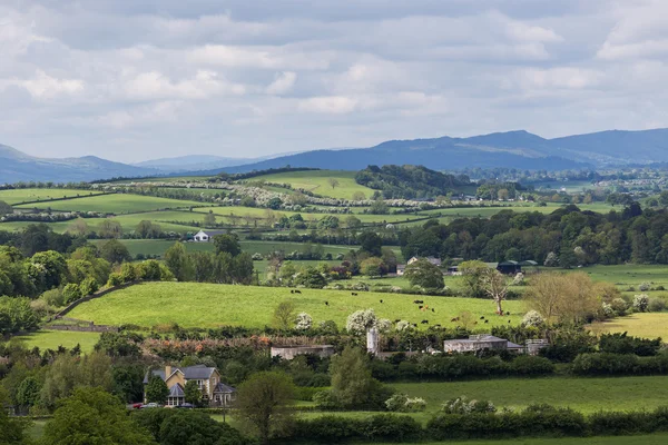 Bela paisagem irlandesa cênica — Fotografia de Stock