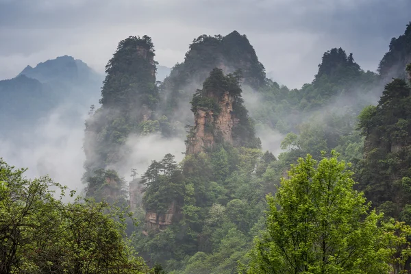 Montagne avatar di Zhangjiajie — Foto Stock