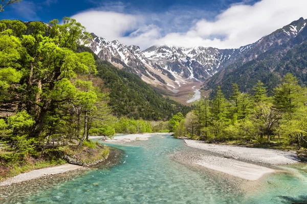 Landscape with mountain river — Stock Photo, Image