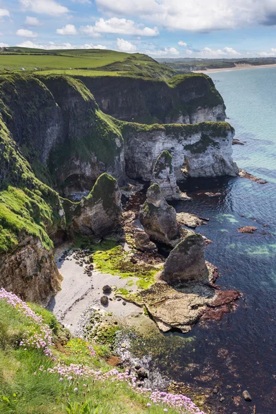 Hermoso paisaje irlandés — Foto de Stock