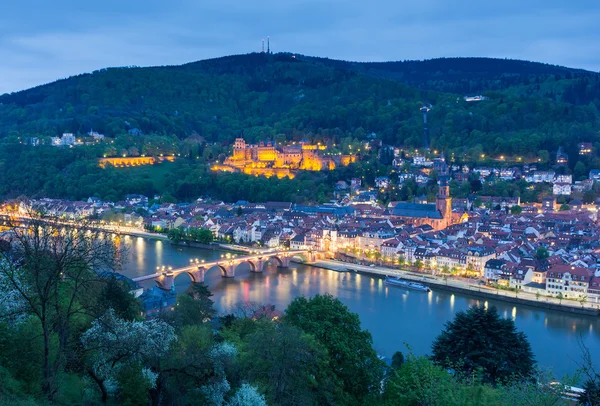 Heidelberg şehir, Almanya görüntülemek — Stok fotoğraf