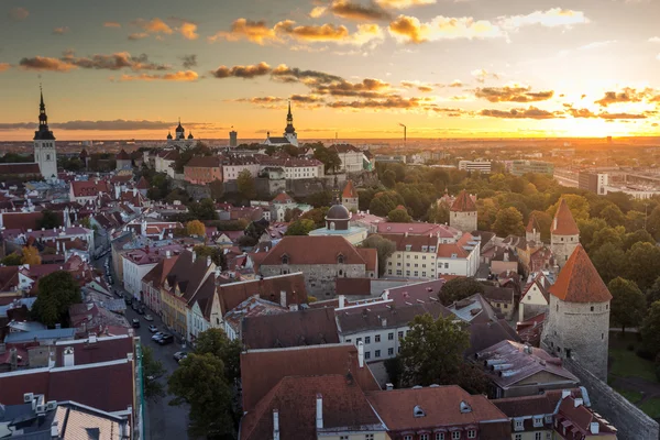 Gamla staden i Tallinn, Estland. — Stockfoto