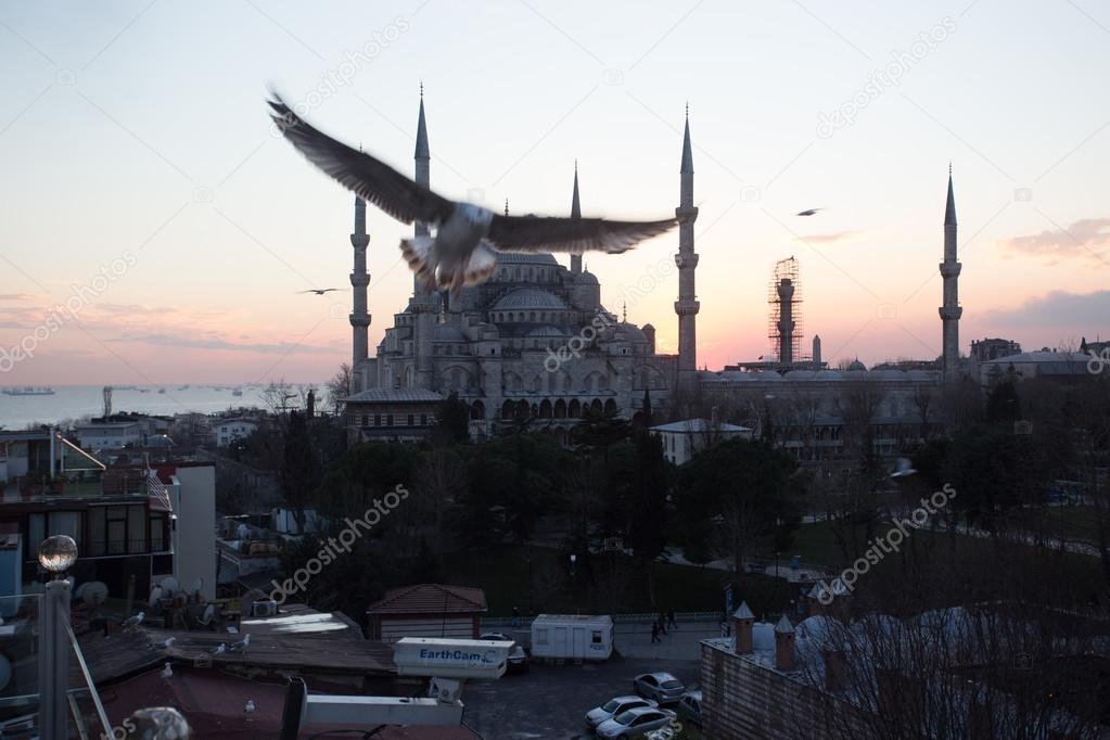 Blue Mosque Istanbul, Turkey. 