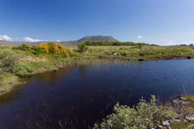 Güzel manzaralı İrlandalı manzara