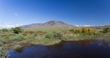 Güzel manzaralı İrlandalı manzara