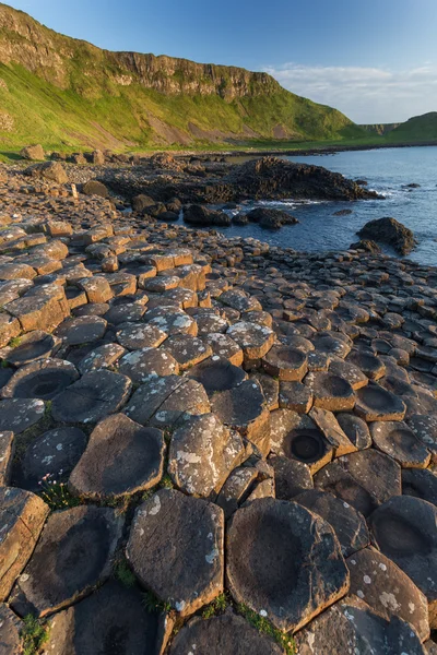 A Giant's Causeway megtekintése — Stock Fotó