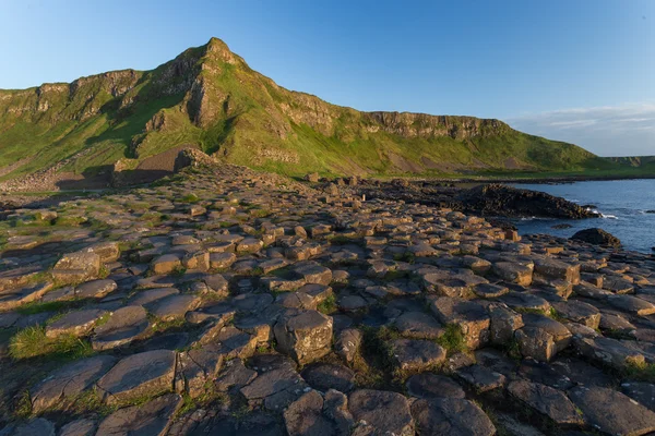 Widok z Giant's Causeway — Zdjęcie stockowe