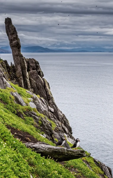 Мальовничий вид на скелі і море — стокове фото
