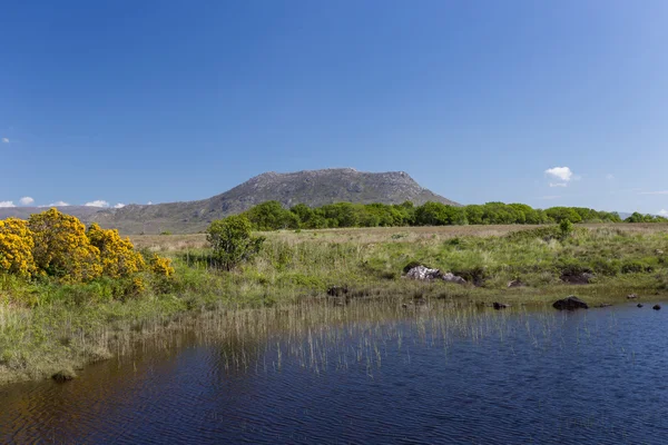 Hermoso paisaje irlandés — Foto de Stock