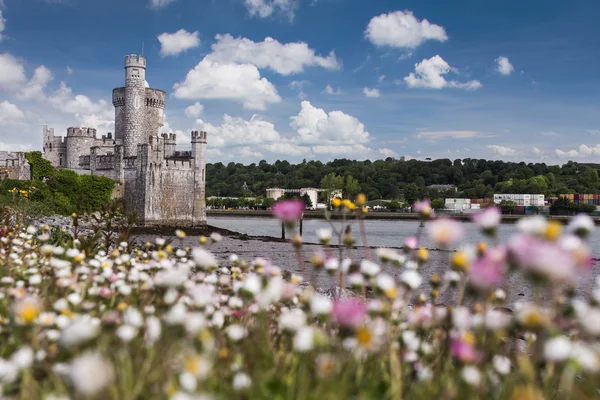 Castillo de Blackrock irlandés — Foto de Stock