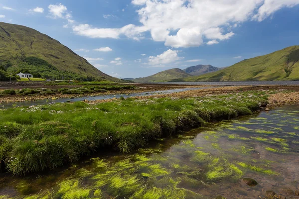 Landschaftlich schöne irische Landschaft — Stockfoto
