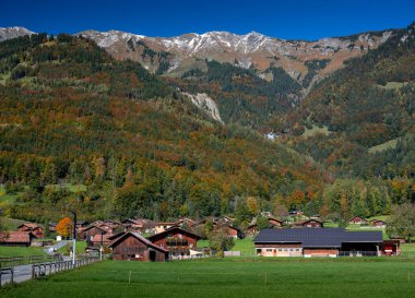 Vadi, sonbahar ormanları ve dağlardaki challet binaları