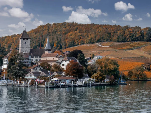 Thun Óvárosi Épületek Felett Folyó Őszi Táj Svájc — Stock Fotó