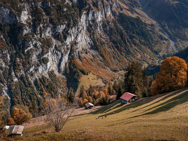 Vue Panoramique Sur Les Montagnes Automnales — Photo