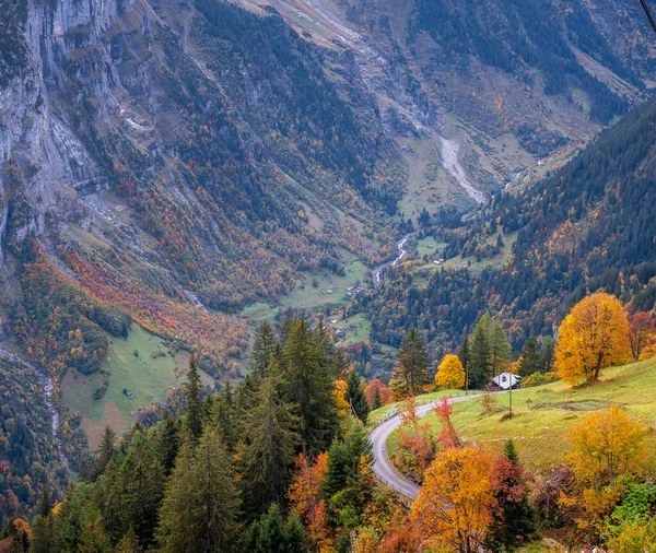 谷や山を背景にした秋の森 — ストック写真