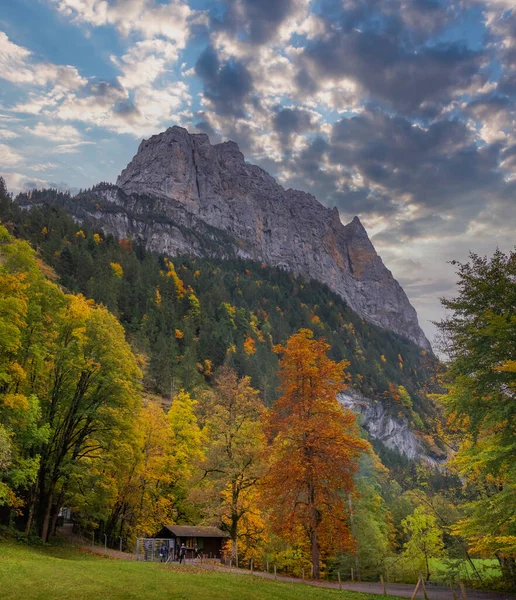 Belle Vue Sur Les Arbres Automne Les Montagnes — Photo