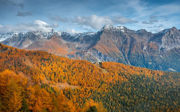 山とオレンジの森の秋の風景 — ストック写真