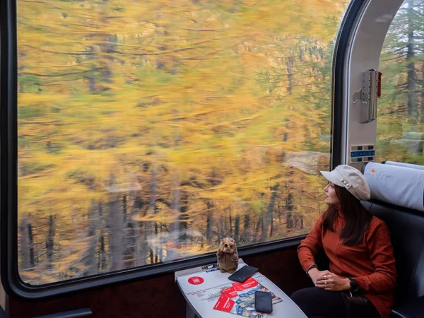 young woman sitting by window in train