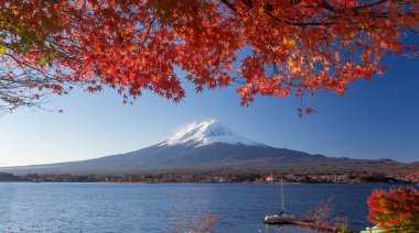 Dağ Fuji ve sonbahar yaprakları