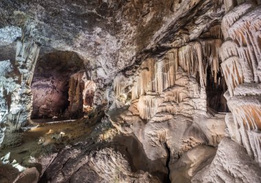 Postojna grotto Slovenya