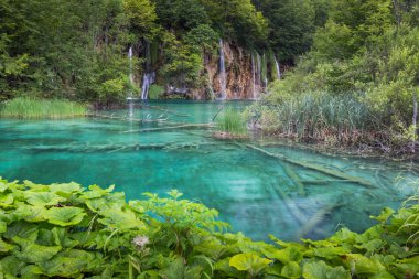Plitvice Gölleri Ulusal Parkı