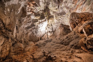 Postojna grotto Slovenya