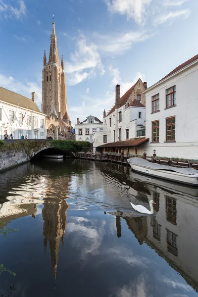 Cisne no canal em Bruges — Fotografia de Stock