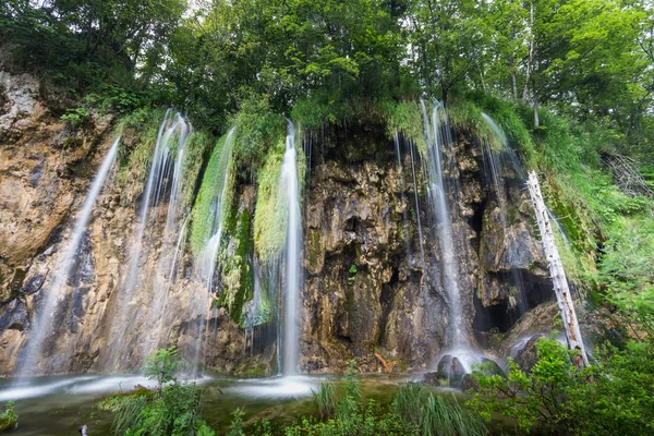 Plitvicei-tavak Nemzeti Park — Stock Fotó