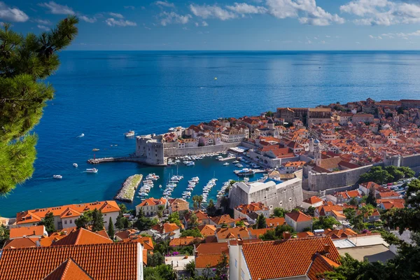 Costa del mar de Dubrovnik — Foto de Stock
