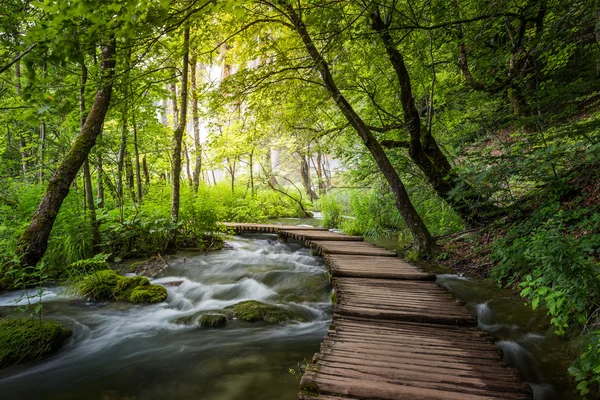 Drewniane molo nad wodą — Zdjęcie stockowe